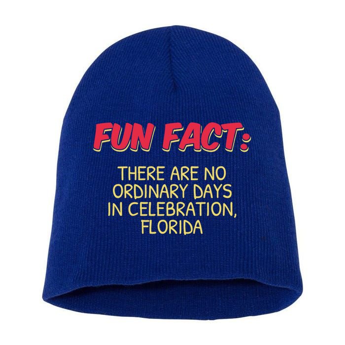 No Ordinary Days In Celebration Florida Pun Fl Joke Gift Short Acrylic Beanie