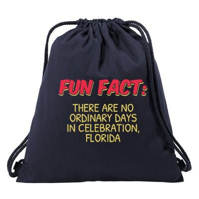 No Ordinary Days In Celebration Florida Pun Fl Joke Gift Drawstring Bag