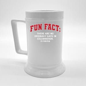 No Ordinary Days In Celebration Florida Pun Fl Joke Gift Beer Stein