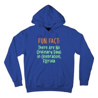 No Ordinary Days In Celebration Florida Pun Fl Joke Gift Hoodie