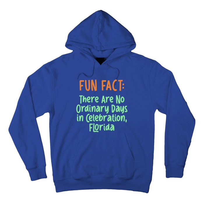 No Ordinary Days In Celebration Florida Pun Fl Joke Gift Hoodie