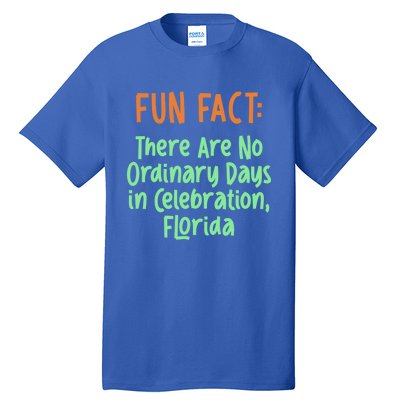 No Ordinary Days In Celebration Florida Pun Fl Joke Gift Tall T-Shirt