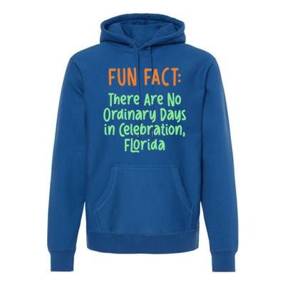 No Ordinary Days In Celebration Florida Pun Fl Joke Gift Premium Hoodie