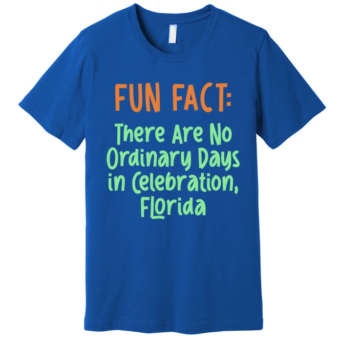 No Ordinary Days In Celebration Florida Pun Fl Joke Gift Premium T-Shirt