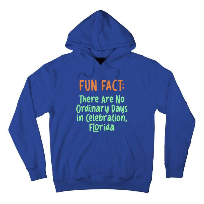 No Ordinary Days In Celebration Florida Pun Fl Joke Gift Tall Hoodie