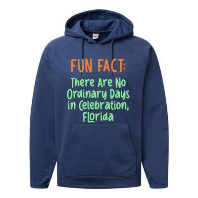 No Ordinary Days In Celebration Florida Pun Fl Joke Gift Performance Fleece Hoodie