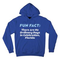 No Ordinary Days In Celebration Florida Pun Fl Joke Meaningful Gift Hoodie