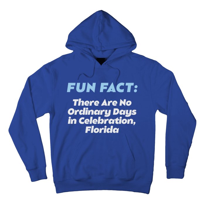 No Ordinary Days In Celebration Florida Pun Fl Joke Meaningful Gift Hoodie