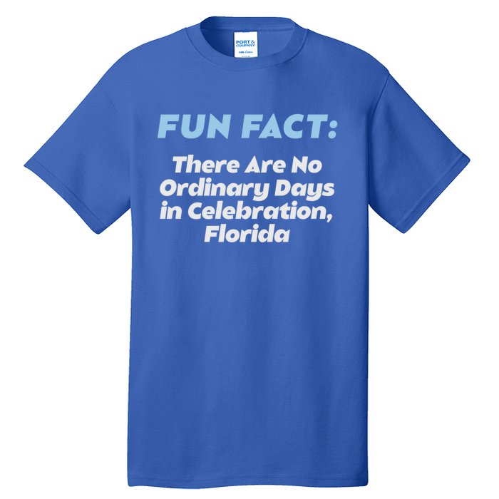 No Ordinary Days In Celebration Florida Pun Fl Joke Meaningful Gift Tall T-Shirt