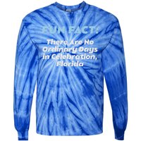 No Ordinary Days In Celebration Florida Pun Fl Joke Meaningful Gift Tie-Dye Long Sleeve Shirt