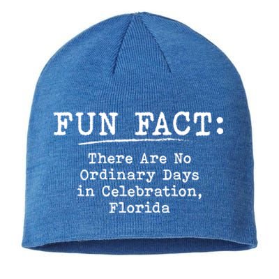 No Ordinary Days In Celebration Florida Pun Fl Joke Meaningful Gift Sustainable Beanie