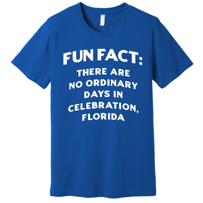 No Ordinary Days In Celebration Florida Pun Fl Joke Cool Gift Premium T-Shirt