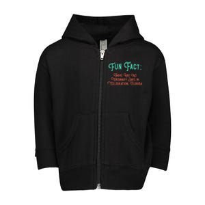 No Ordinary Days In Celebration Florida Pun Fl Joke Gift Toddler Zip Fleece Hoodie