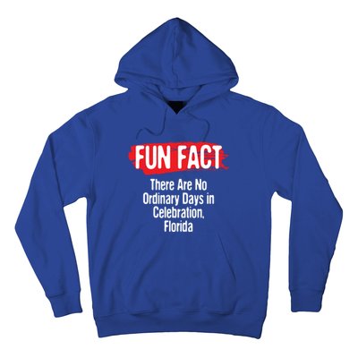 No Ordinary Days In Celebration Florida Pun Fl Joke Gift Hoodie