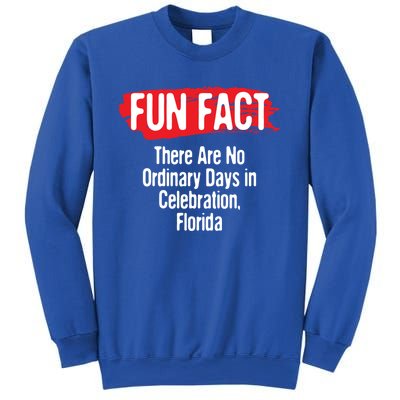 No Ordinary Days In Celebration Florida Pun Fl Joke Gift Sweatshirt