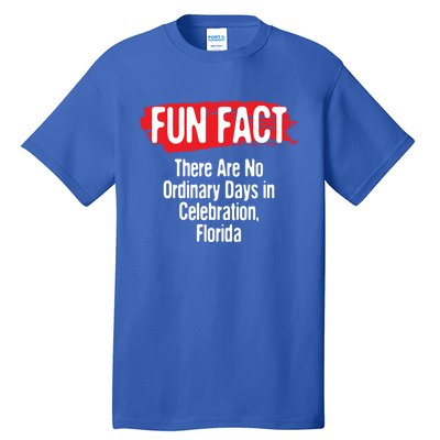 No Ordinary Days In Celebration Florida Pun Fl Joke Gift Tall T-Shirt