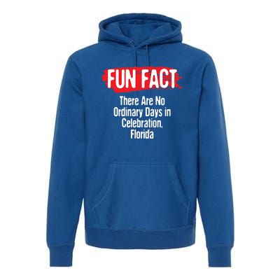 No Ordinary Days In Celebration Florida Pun Fl Joke Gift Premium Hoodie