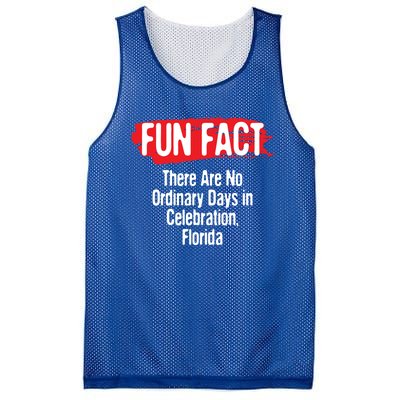 No Ordinary Days In Celebration Florida Pun Fl Joke Gift Mesh Reversible Basketball Jersey Tank