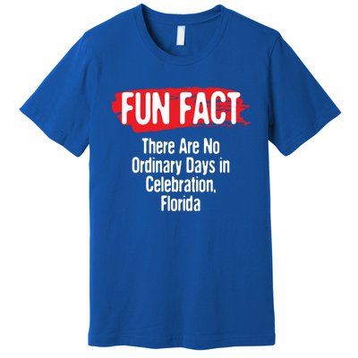 No Ordinary Days In Celebration Florida Pun Fl Joke Gift Premium T-Shirt