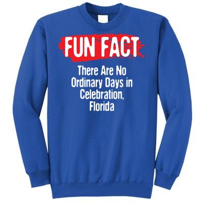 No Ordinary Days In Celebration Florida Pun Fl Joke Gift Tall Sweatshirt