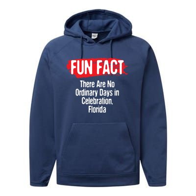 No Ordinary Days In Celebration Florida Pun Fl Joke Gift Performance Fleece Hoodie