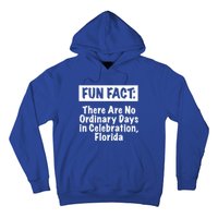 No Ordinary Days In Celebration Florida Pun Fl Joke Gift Hoodie