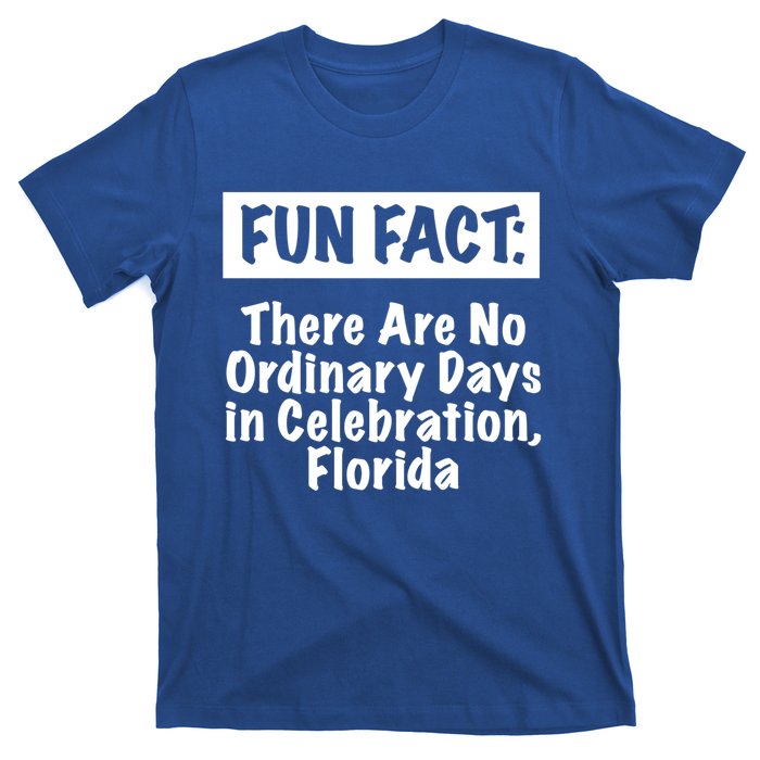 No Ordinary Days In Celebration Florida Pun Fl Joke Gift T-Shirt