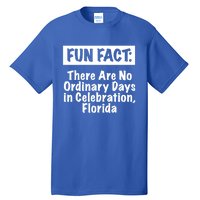 No Ordinary Days In Celebration Florida Pun Fl Joke Gift Tall T-Shirt