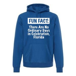 No Ordinary Days In Celebration Florida Pun Fl Joke Gift Premium Hoodie