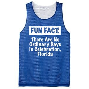 No Ordinary Days In Celebration Florida Pun Fl Joke Gift Mesh Reversible Basketball Jersey Tank