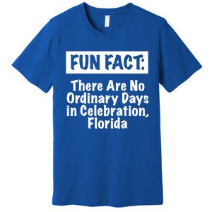 No Ordinary Days In Celebration Florida Pun Fl Joke Gift Premium T-Shirt