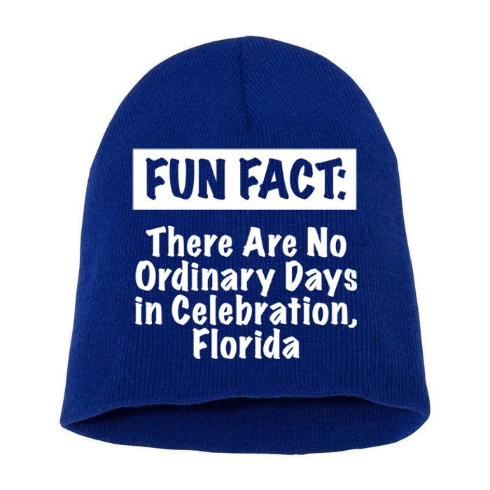 No Ordinary Days In Celebration Florida Pun Fl Joke Gift Short Acrylic Beanie