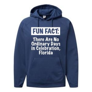 No Ordinary Days In Celebration Florida Pun Fl Joke Gift Performance Fleece Hoodie