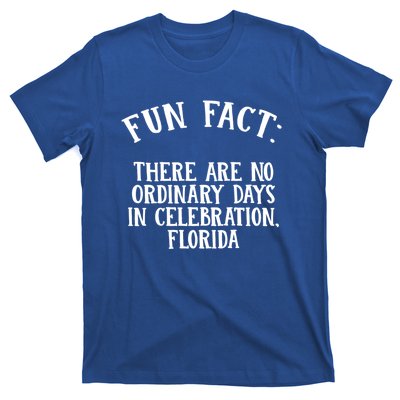 No Ordinary Days In Celebration Florida Pun Fl Joke Gift T-Shirt