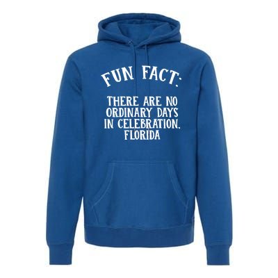 No Ordinary Days In Celebration Florida Pun Fl Joke Gift Premium Hoodie