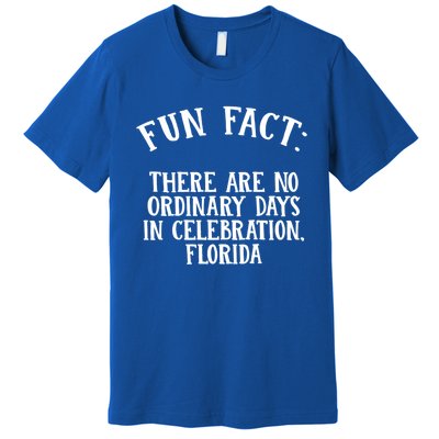 No Ordinary Days In Celebration Florida Pun Fl Joke Gift Premium T-Shirt