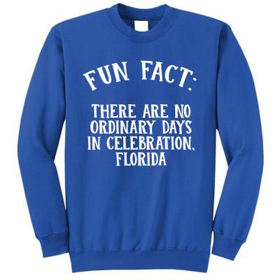 No Ordinary Days In Celebration Florida Pun Fl Joke Gift Tall Sweatshirt