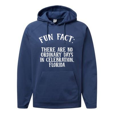 No Ordinary Days In Celebration Florida Pun Fl Joke Gift Performance Fleece Hoodie