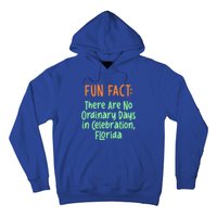 No Ordinary Days In Celebration Florida Pun Fl Joke Cool Gift Hoodie