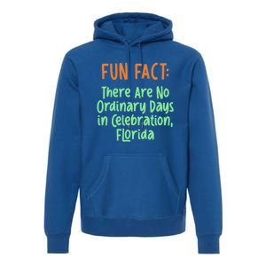 No Ordinary Days In Celebration Florida Pun Fl Joke Cool Gift Premium Hoodie