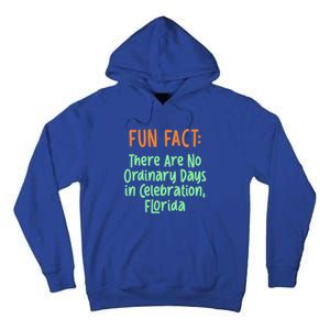 No Ordinary Days In Celebration Florida Pun Fl Joke Cool Gift Tall Hoodie