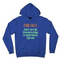 No Ordinary Days In Celebration Florida Pun Fl Joke Cool Gift Tall Hoodie