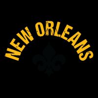 New Orleans Fleurdelis Fleurdelys Design New Orleans 16 in Basic Backpack