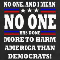 No One Has Done More To Harm America Than Democrats Beanie