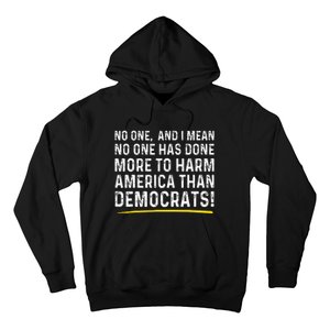 No One Has Done More To Harm America Than Democrats! Hoodie