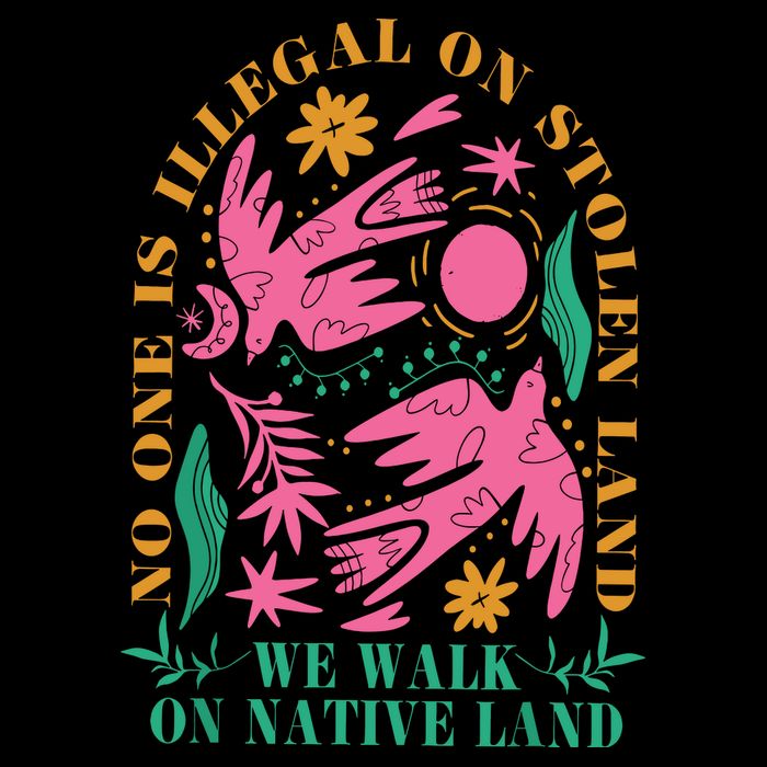 No One Is Illegal On Stolen Land We Walk On Native Land Wool Snapback Cap