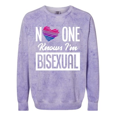 No One Knows I'm Bisexual Bi Pride Bisexual Gift Colorblast Crewneck Sweatshirt