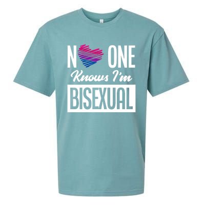 No One Knows I'm Bisexual Bi Pride Bisexual Gift Sueded Cloud Jersey T-Shirt