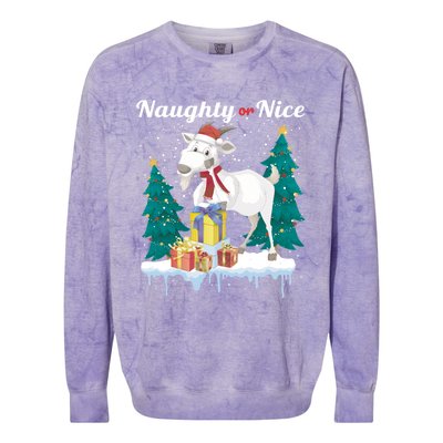 Naughty Or Nice Merry Christmas Xmas Santa Claus Goat Cute Gift Colorblast Crewneck Sweatshirt