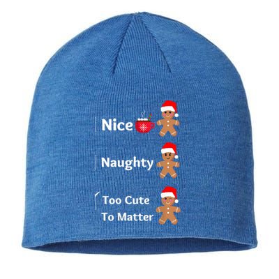 Naughty Or Nice Too Cute To Matter Christmas List Gift Sustainable Beanie